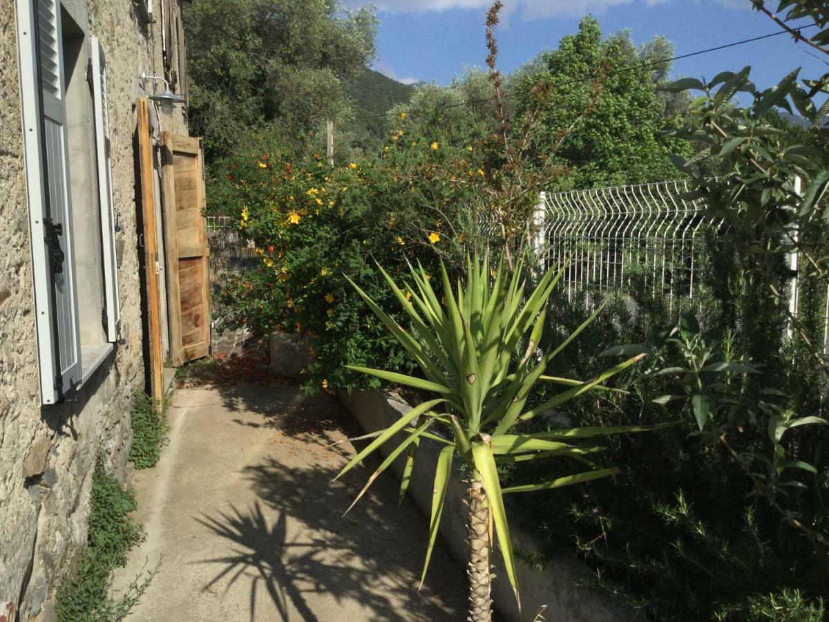 Villa Casa Orani Ponte Leccia Zimmer foto
